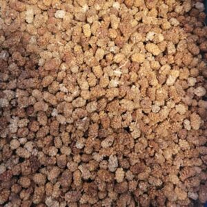 ORGANIC DRIED MULBERRY 6 KG= 13.23 LBS COO:TURKEY