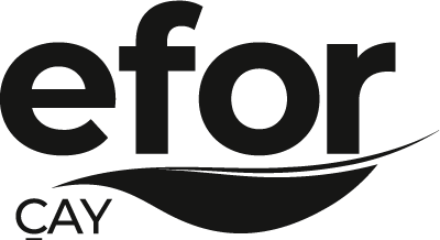 Efor